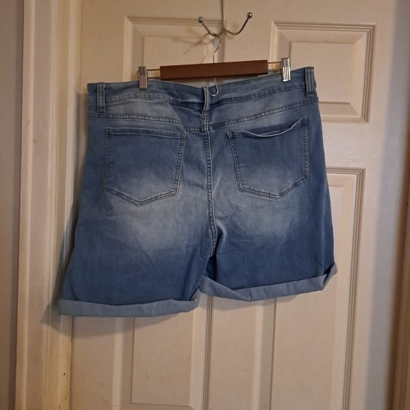 Time and true distressd mid-rise shorts size 20 - Picture 6 of 8